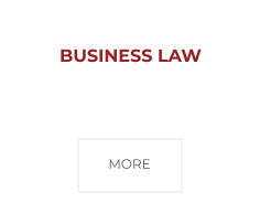 business-law-1