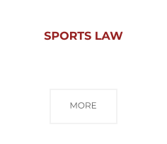 sports-law